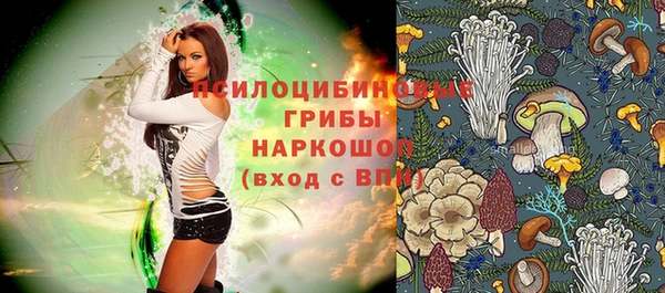 стаф Алексин