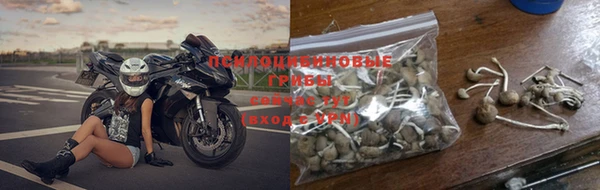 стаф Алексин