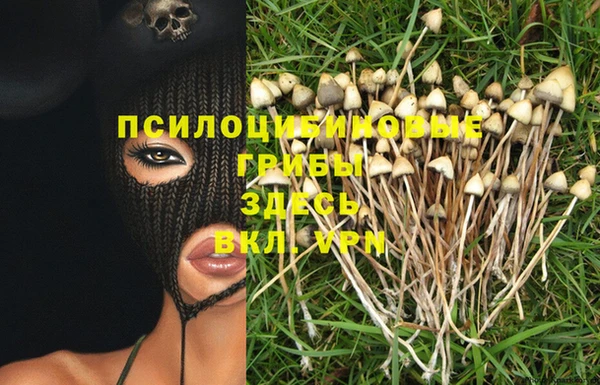 стаф Алексин
