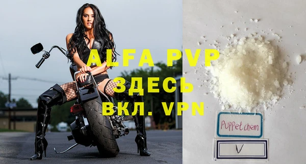 стаф Алексин