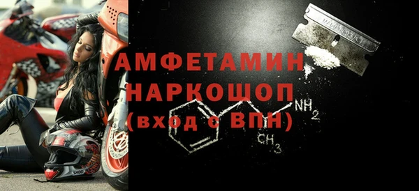 прущие грибы Пересвет