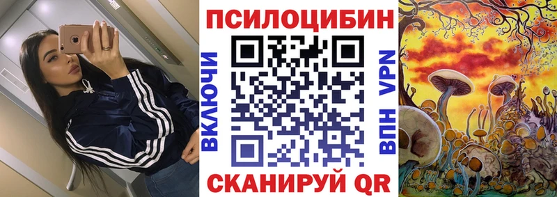 mega   Урай  Галлюциногенные грибы Psilocybe 