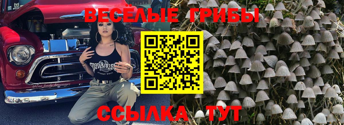 где продают наркотики  Вход с VPN  Урай  Галлюциногенные грибы MAGIC MUSHROOMS 