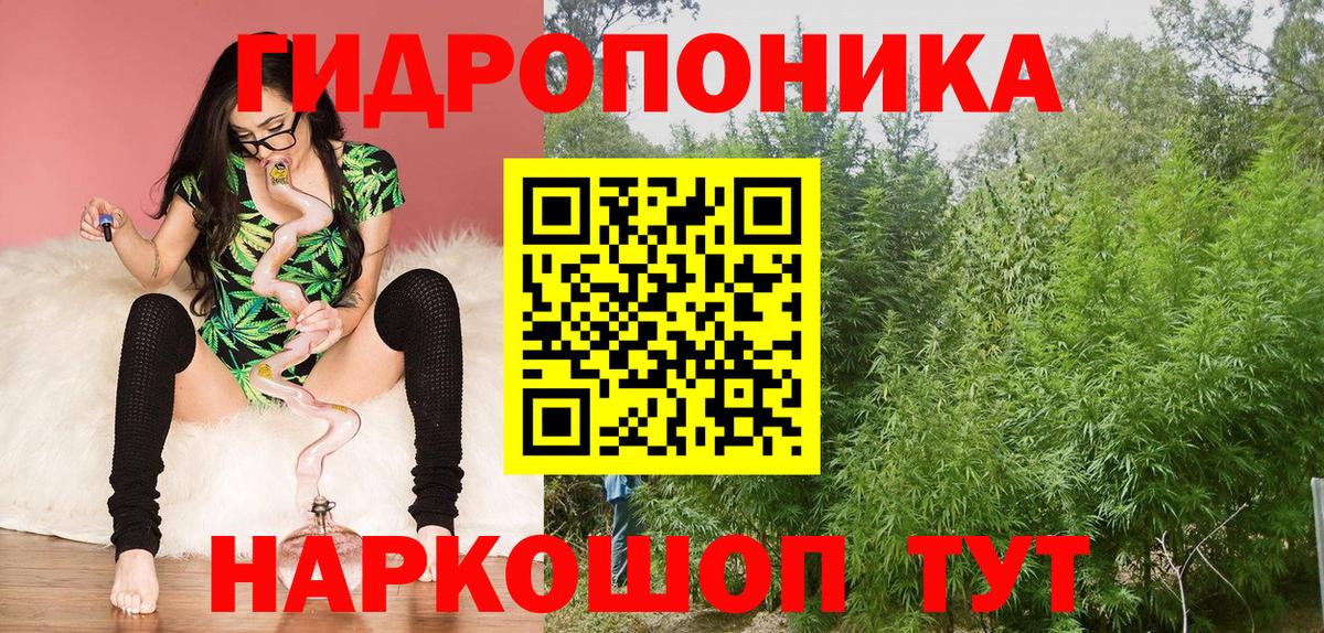 Марихуана гибрид  Бошки марихуана план  Конопля OG Kush  Конопля LSD WEED  Урай  Вход с VPN 